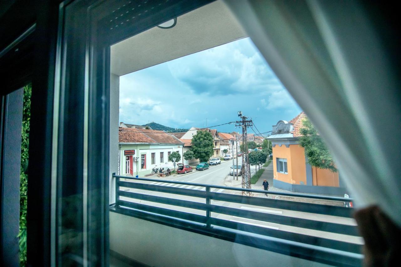 Royal Luxury Apartment Vrsac Exterior foto